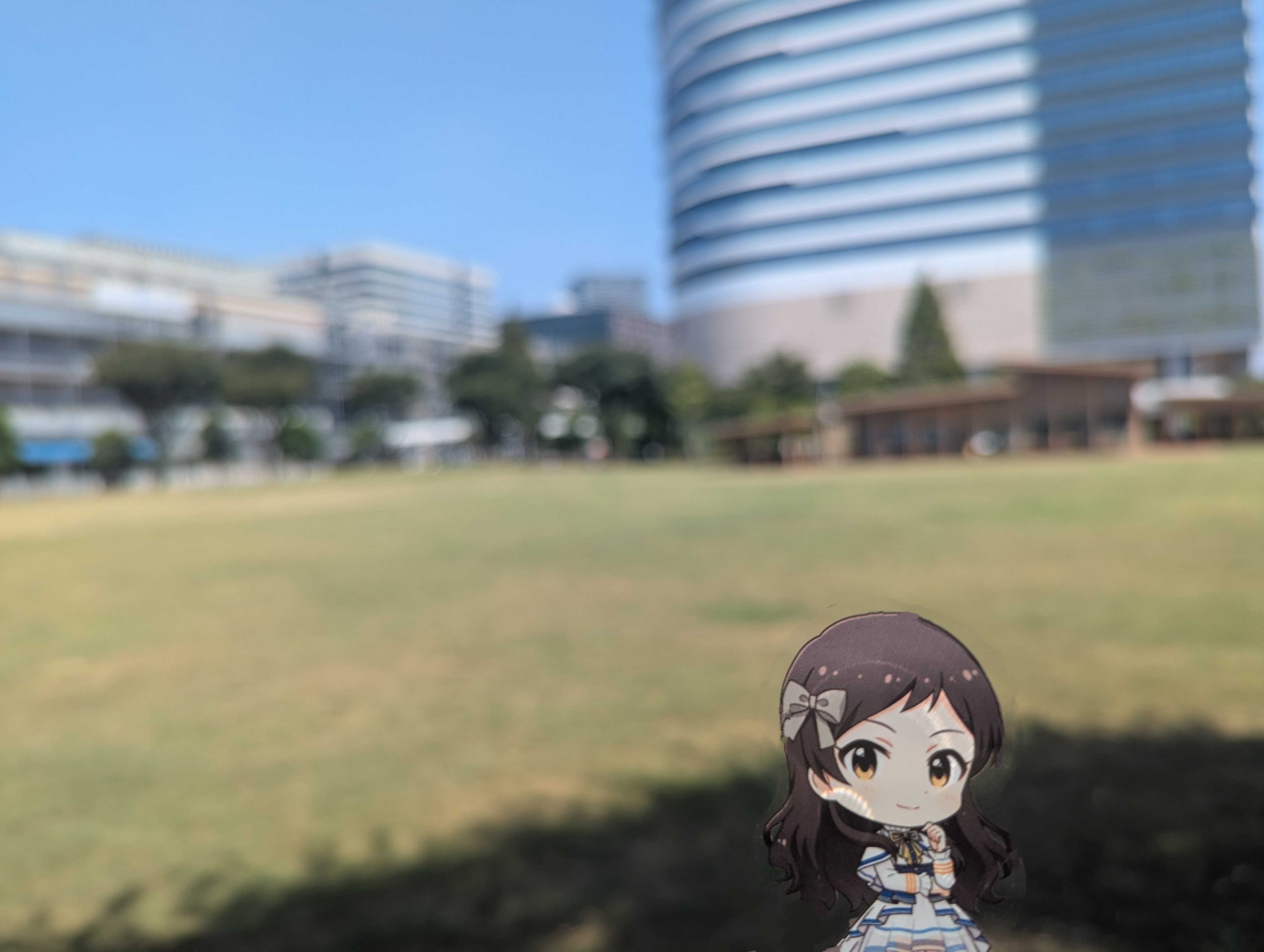 原っぱ